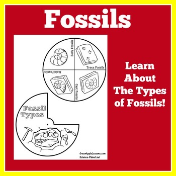 Preview of FOSSIL FOSSILS | Worksheet Craft Activity Kindergarten 1st 2nd 3rd 4th 5th Rocks