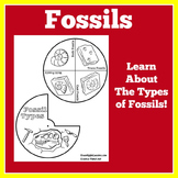 FOSSIL FOSSILS | Worksheet Craft Activity Kindergarten 1st