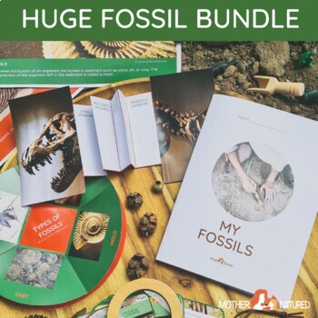Preview of FOSSIL & PALEONTOLOGY BUNDLE