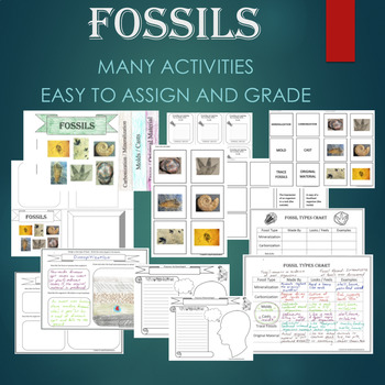 Preview of FOSSILS BUNDLE - mineralization, carbonization, molds, casts, trace, etc