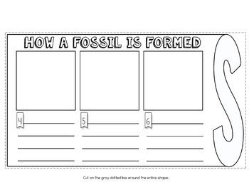 Fossils Flip Flap Book®  Distance Learning – Simply Skilled Teaching