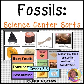 NEW! FOSSILS: Science Center Sorts by Jackie Crews | TpT