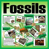 FOSSILS TEACHING RESOURCES KS1, KS2 SCIENCE HISTORY ANIMAL