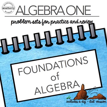 Preview of FOUNDATIONS of ALGEBRA - TEN problem sets