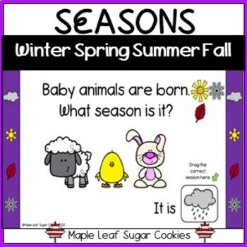 Preview of FOUR SEASONS!!! Spring, Summer, Fall / Autumn, Winter * Time * Science * Math * 