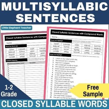 Preview of FREE 1st-2nd Grade Closed Multisyllabic Words in Sentences Syllable Division