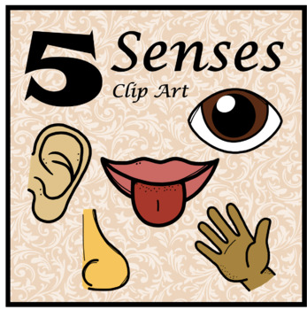 Preview of FREE 5 Senses Clip Art