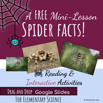 Preview of FREE All About Spiders | Halloween Reading and Google Slides