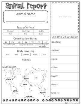 Preview of FREE Animal Research Report