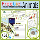 FREE - Animal activity workbook for KS1 (nocturnal / camou