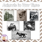 Animals in War Time Research Activity