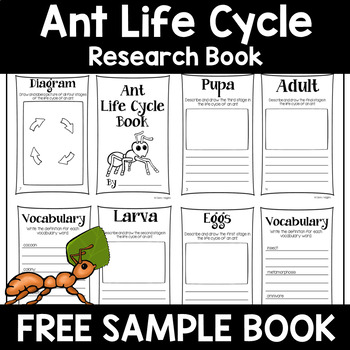 Preview of FREE Ant Life Cycle Research Book