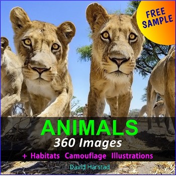 Preview of FREE - Arctic Animals, Polar Animals, Winter Animals  - 4 Clipart Posters (K-6)
