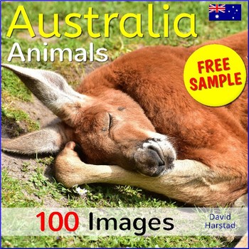 Preview of FREE - Australian Animals - 2 Posters