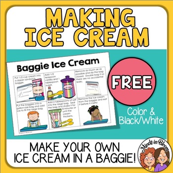 Preview of Ice Cream in a Baggie