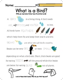 FREE Birds & Bugs Worksheet Pack for PreK and Kindergarten