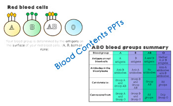 Preview of FREE - Blood Contents PPTs - FREE