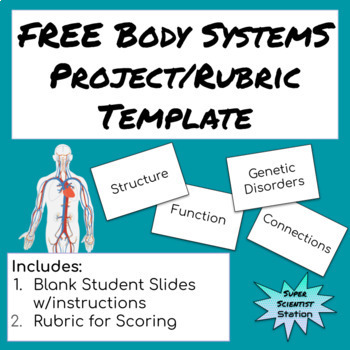 Preview of FREE: Body System Project/Rubric Template