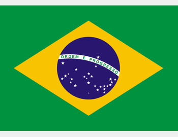 Preview of FREE - Brazil Flag