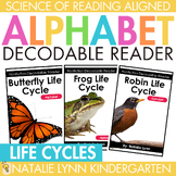 FREE Butterfly, Frogs, Robin Life Cycles Alphabet Decodabl
