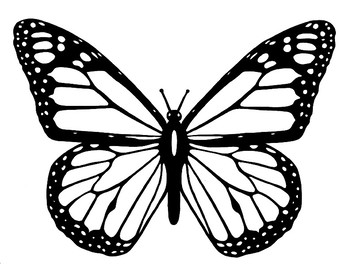 Preview of FREE - Butterfly Life Cycle & Butterfly Coloring Page