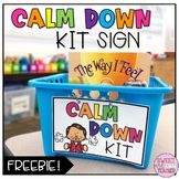 FREE Calm Down Kit Sign