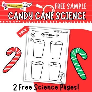 Preview of FREE Candy Cane Science Observation Worksheets | Holiday STEM Experiment