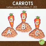 FREE Carrots Letters and Number Cards