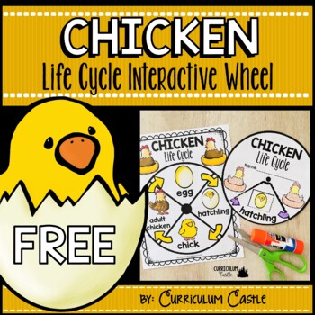 Preview of FREE Chicken Life Cycle Interactive Wheel Craft