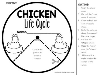 Chicken life cycle printable craft spin wheel FREE