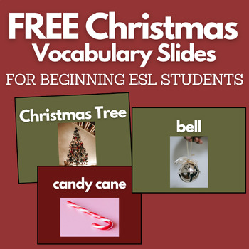 Preview of FREE Christmas Vocabulary Slides for Beginning ESL Students