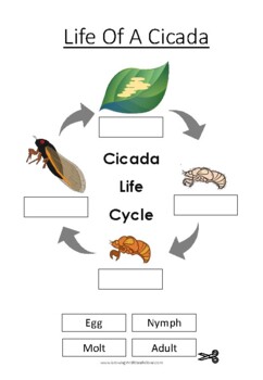 Preview of Cicada Printables FREEBIE