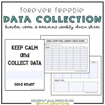 Preview of FREE Class Overview Weekly Data Sheet for Special Education Classroom