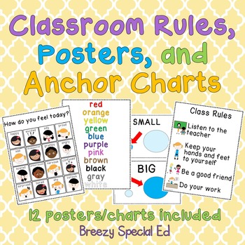 Preview of FREE Classroom Rules, Posters, and Anchor Charts for Special Education