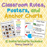 FREE Classroom Rules, Posters, and Anchor Charts for Speci