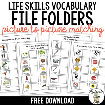 Preview of FREE Life Skills Vocabulary File Folders
