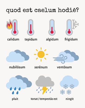 Preview of FREE "quod caelum est?" Latin weather poster