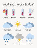 FREE "quod caelum est?" Latin weather poster