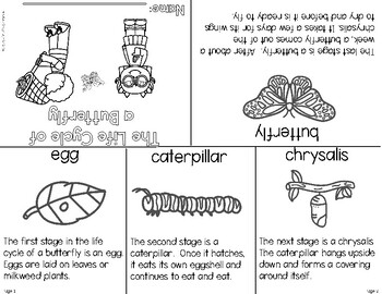 FREE-Differentiated Mini Life Cycle of a Butterfly- Booklet and Activities