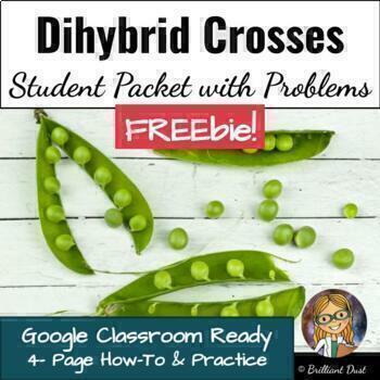 Preview of FREE Dihybrid Cross and Genetics Practice Problems | Google Classroom