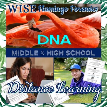 Preview of FREE Distance Learning 2 week Forensic DNA Packet