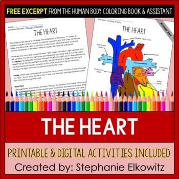 Human Heart Coloring and Science Literacy Activities by Stephanie Elkowitz
