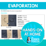 FREE Evaporation in the Water Cycle {Hands-on at Home}