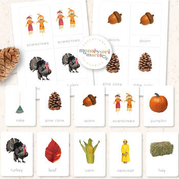 FALL Montessori Nomenclature Cards, Autumn, Preschool Flash Cards