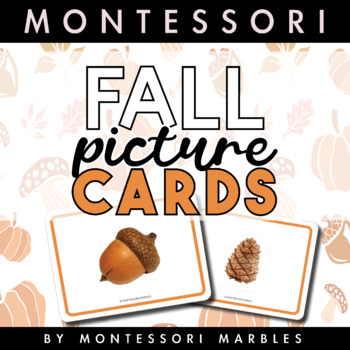 Preview of FREE Fall Picture Cards for Montessori Babies and Toddlers
