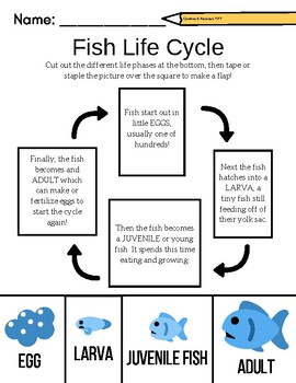 FREE Fish Worksheet Pack for PreK or Kindergarten (10 pages) | TPT