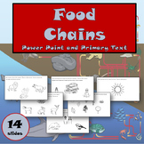 FREE Food Chains Primary Text Power Point VAAP S-8.13 (SOL
