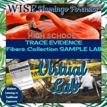 Preview of FREE Forensic Science Fiber Virtual Lab SAMPLE DIGITAL RESOURCE