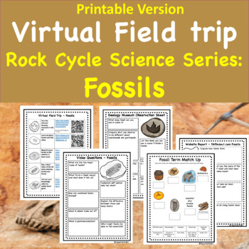 Preview of Fossils Virtual Field Trip