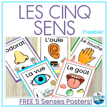 Preview of FREE French Five Senses Posters | Affiches des cinq sens